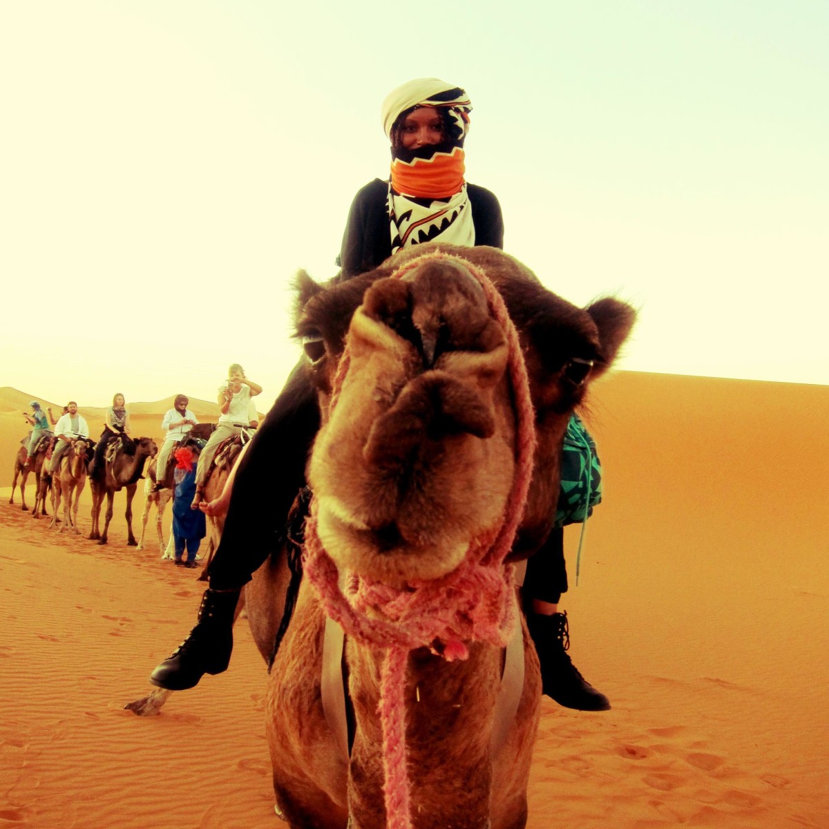 Khadijat Oseni-Ride A Camel-Jetsetterproblems.com
